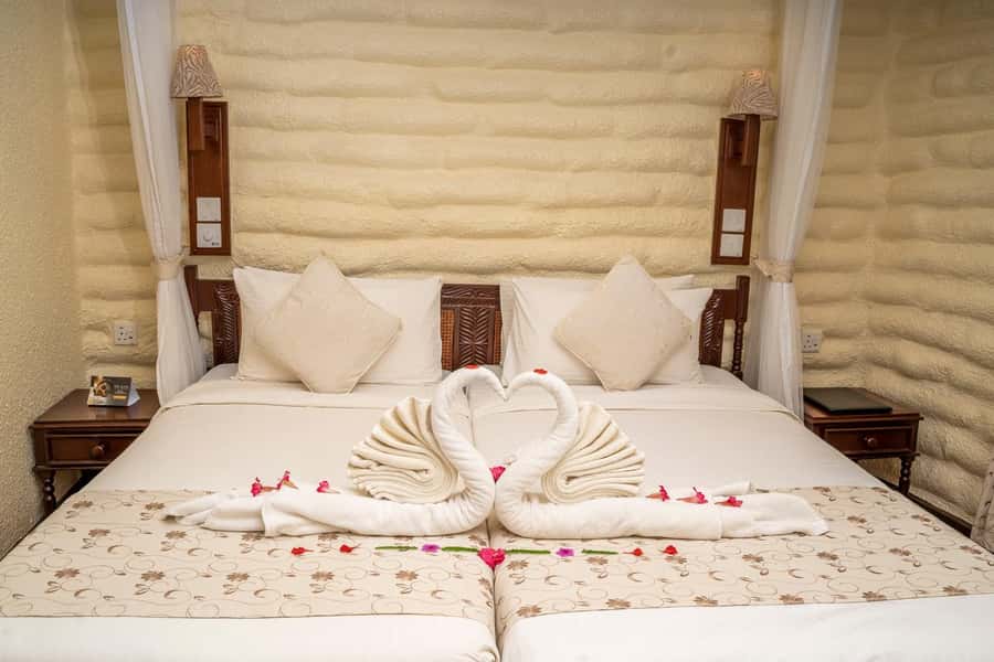 2 days 1 night saltlick safari from Diani/Mombasa - Who should book this two-day safari?