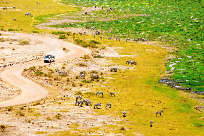 2 Days Amboseli Getaway Trip - Guides, Wildlife Knowledge, and the Private Format