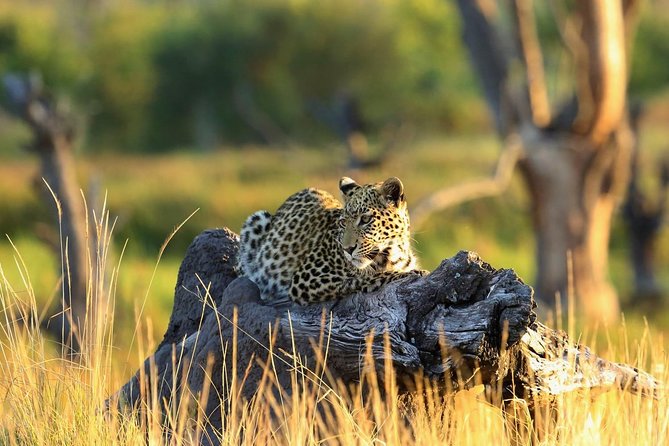 2 days Amboseli National Park Safari - Quick points to know before booking