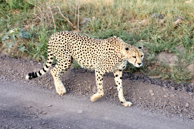 2 Days Amboseli Park Overnight Private Safari - Leaving Nairobi for the park