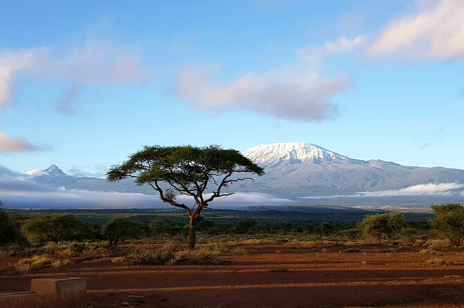 2 Days Amboseli Park Overnight Private Safari - What the $475 price covers