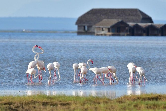 2 Days Amboseli Private Safari - Why Amboseli works so well for a two-day safari