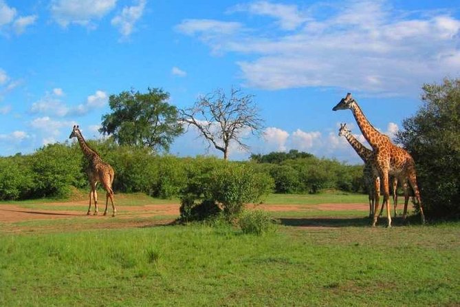 2 Days Amboseli Safari Adventure from Nairobi Classic Game Drives - Leaving Nairobi by air-conditioned vehicle