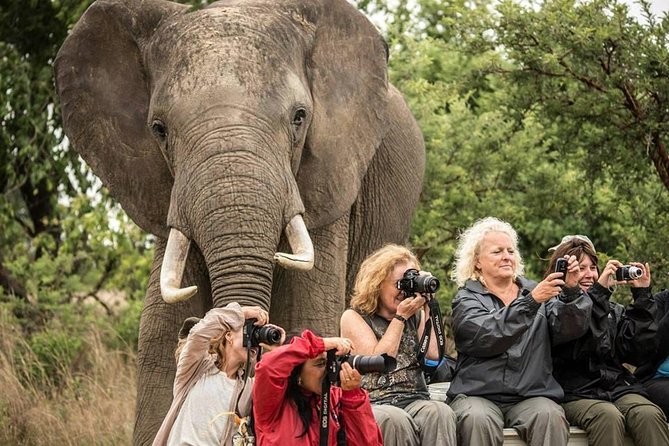 2 Days Amboseli Safari Adventure from Nairobi Classic Game Drives - Morning and afternoon drives