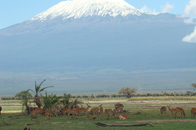 2 days group safari to Amboseli National park (Mon-Wed-Sat only) - Overnight at an Amboseli lodge or camp