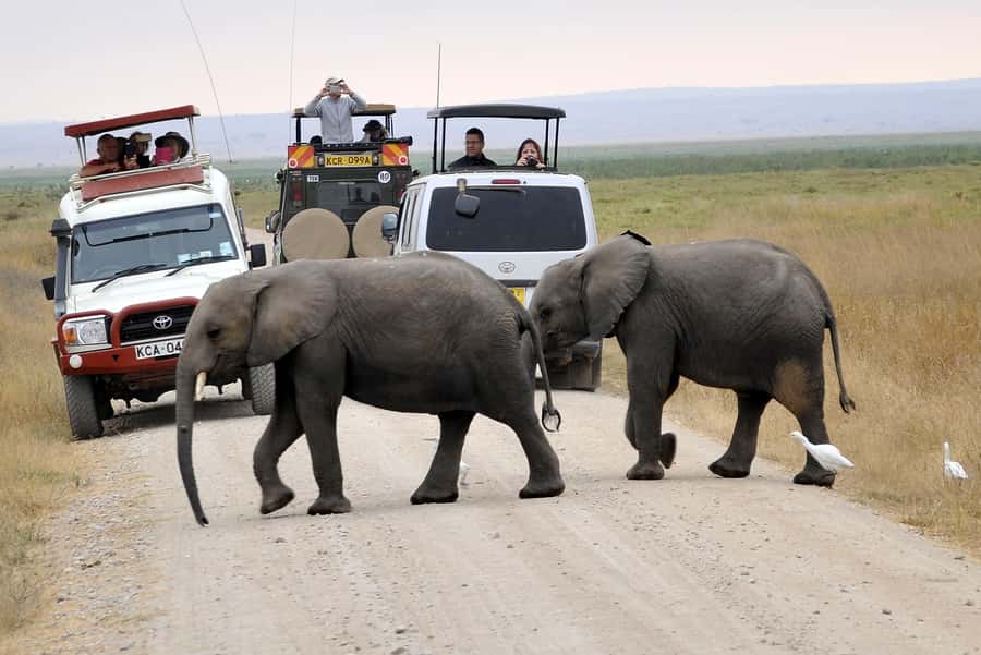 2 Days Group tour to Amboseli Using Landcruiser 4x4 Jeep - The real cost: $270 plus the park question