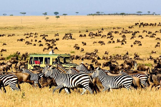 2 Days Masai Mara Private Safari From Nairobi - The main warning: time inside the reserve