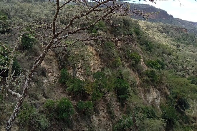 2 Days Private Tour to Lake Nakuru and Hell's Gate Park - Cycling among wildlife at Hells Gate