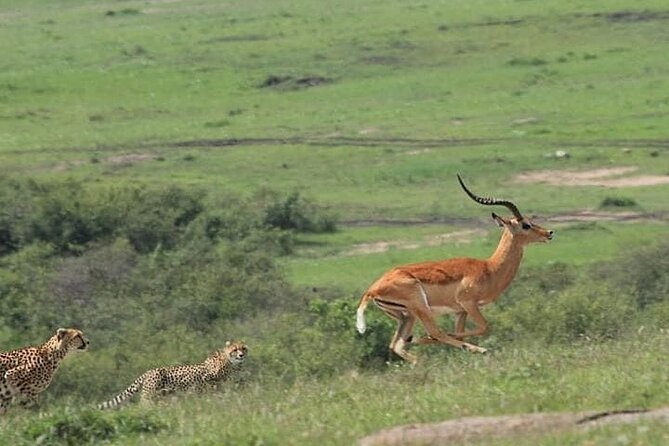 2 Days safari of Masai Mara - The early road from Nairobi to the reserve