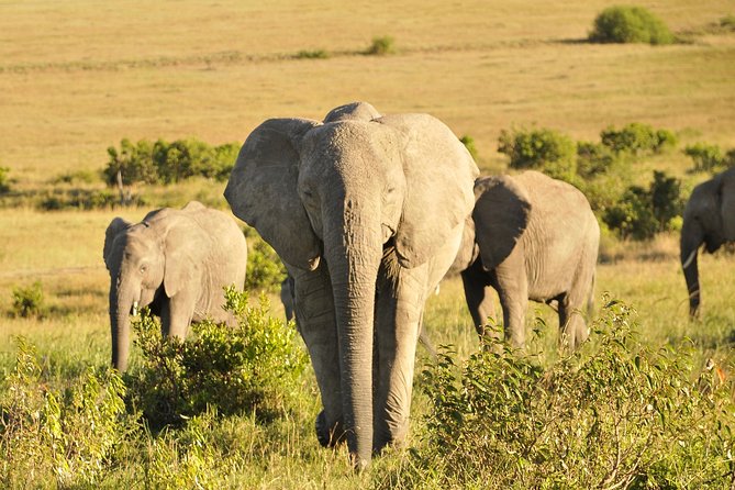 3 Day 2 Nights Maasai Mara Safari - Day one: Nairobi to the Mara through the Great Rift Valley