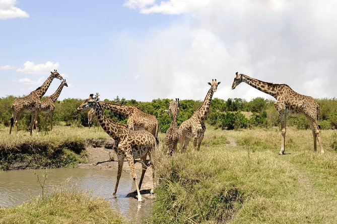 3 Day 2 Nights Maasai Mara Safari - What to pack and how to prepare