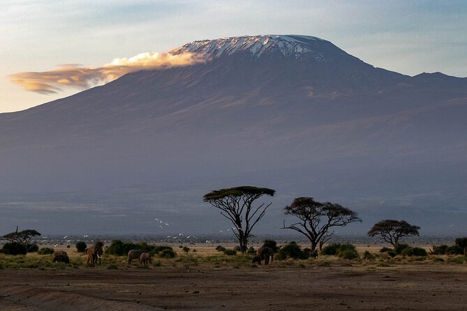 3-Day Amboseli Safari from Nairobi - What the $680 price really covers