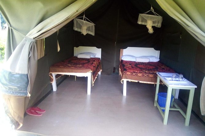 3-DAY Best Maasai Mara Safari (POPULAR) - Day 2: A full day at the Mara River