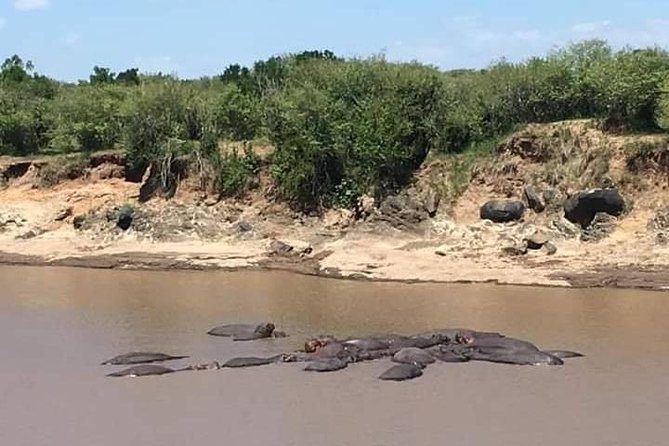 3-DAY Best Maasai Mara Safari (POPULAR) - Wildlife chances and the Mara River focus