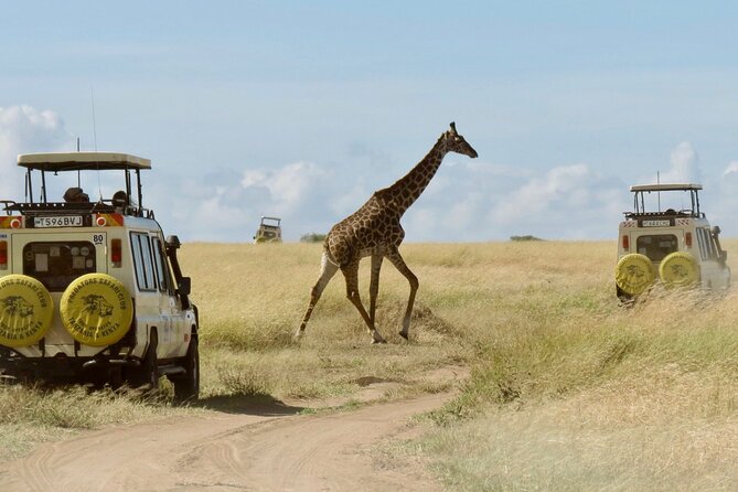 3-Day Budget Maasai Mara Joining Safari with 4x4 LandCruiser Jeep - Key points to know before booking