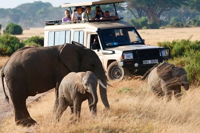 3-Day Budget Maasai Mara Joining Safari with 4x4 LandCruiser Jeep - Day one, Nairobi to the Great Rift Valley