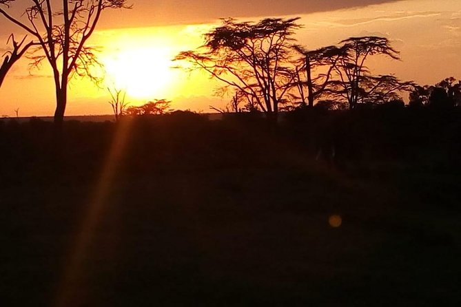 3-day Budget Safari To Maasai Mara - From Nairobi to the escarpment viewpoint