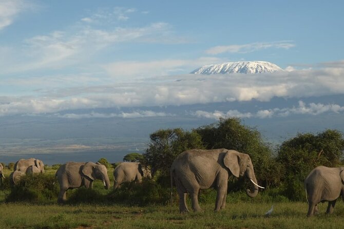 3 Day Exploring Amboseli National Park - Key points to know before booking