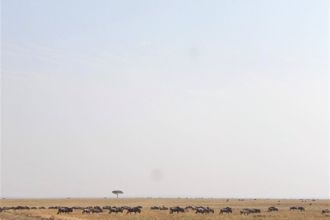 3 Day Exploring Amboseli National Park - Why Amboseli makes a strong first safari