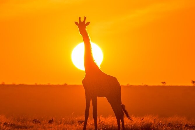 3 Day Exploring Amboseli National Park - What the $1,159 price really covers