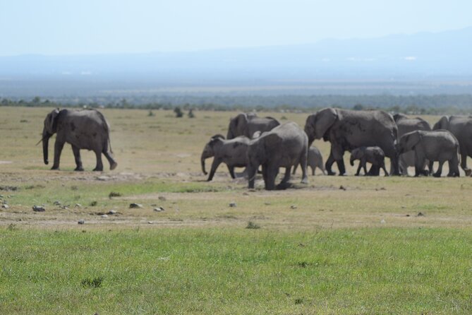 3-Day Group Safari in Masai Mara with Pick Up - Food, accommodation, and daily comfort