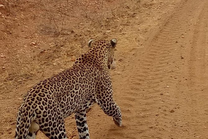 3 day maasai mara budget Camping Group safari - Why this short Mara safari works