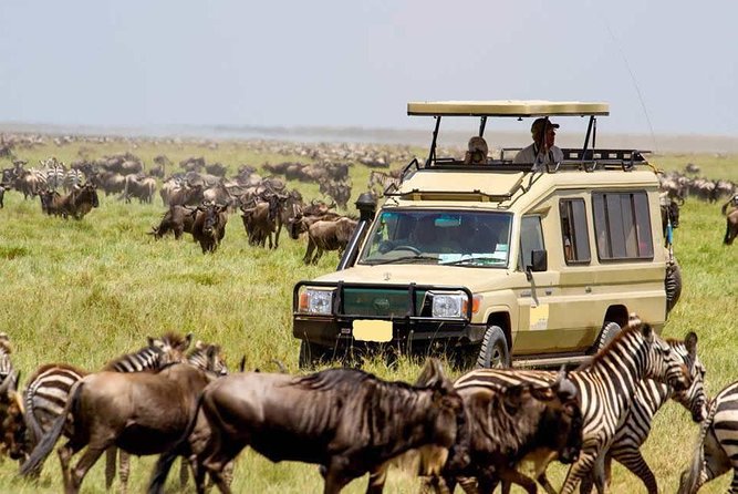 3 Day Maasai Mara Group Joining Camping Safari - Daily Departures - What the $445 price really means