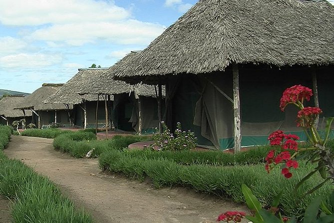 3 Day Maasai Mara Group Joining Camping Safari - Daily Departures - Day 2: a full day on the Mara plains