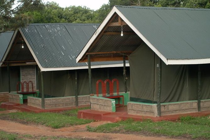 3 Day Maasai Mara Group Joining Camping Safari - Daily Departures - Day 3: one last morning search before Nairobi