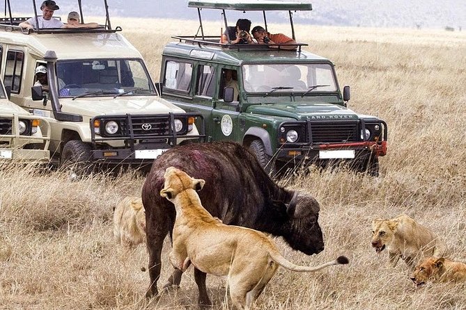3 Day Maasai Mara Group Joining Camping Safari - Daily Departures - Two nights in tents: what the camping choice means