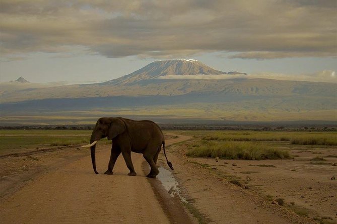 3-Day Maasai Mara Guided Safari From Nairobi - From Nairobi to the Rift Valley in five hours