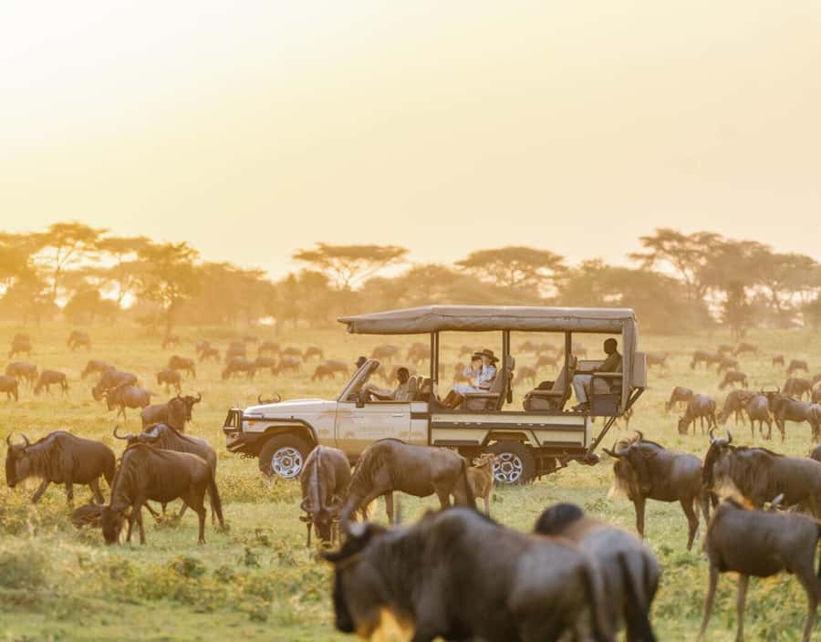 3-Day Maasai Mara Joining Safari at Enkorok Luxury Camp - Key points to know before booking