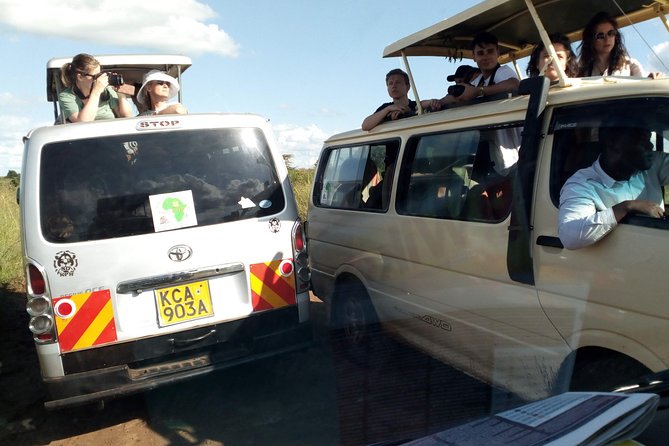 3 Day Maasai Mara & Migration safari - Day 2: The main wildlife day