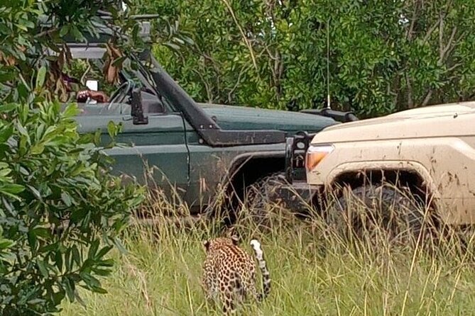 3-Day Maasai Mara Safari Tour in a 4 x4 Land Cruiser Jeep - Your first afternoon inside Maasai Mara
