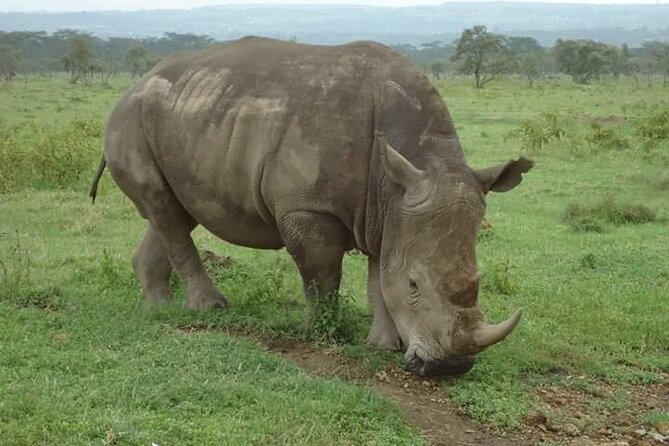 3-Day Masai Mara Budget Camping Safari - The drive from Nairobi to the Great Rift Valley