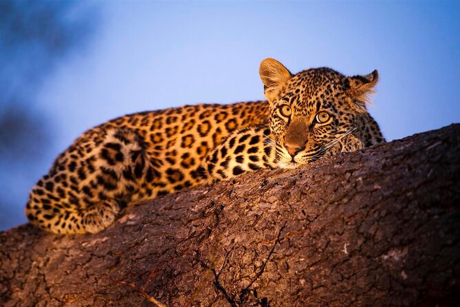 3-Day Masai Mara Group Safari with Pick Up - Leaving Nairobi through the Great Rift Valley