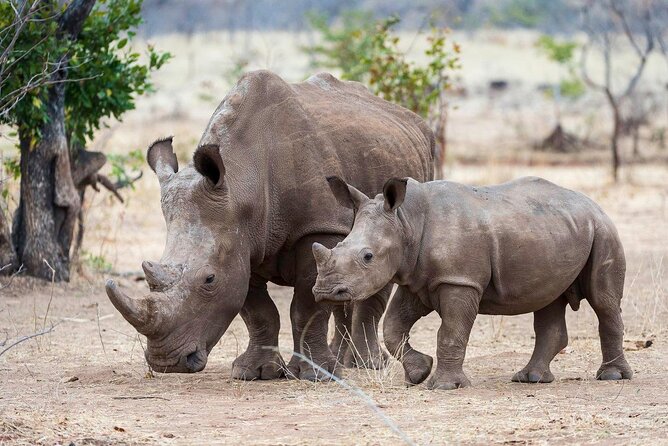 3-Day Masai Mara Group Safari with Pick Up - Your first afternoon in Maasai Mara