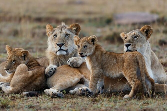 3-Day Masai Mara Jeep Safari - Leaving Nairobi for the Great Rift Valley
