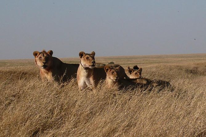 3 Day Masai Mara Safari - What the $929 price really includes