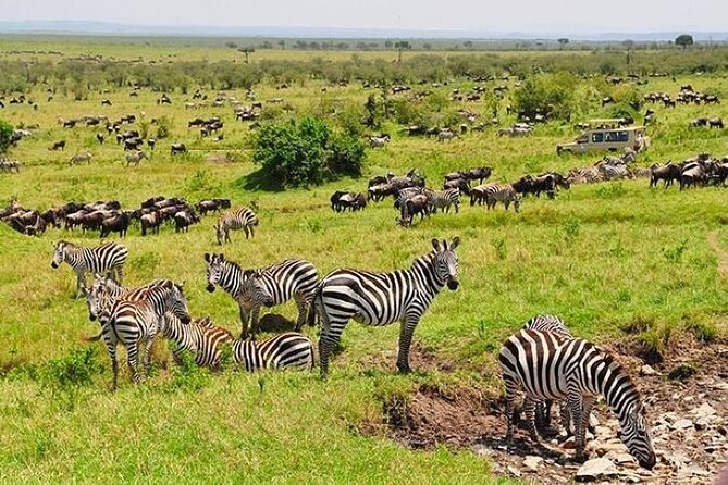 3-Day Masai Mara Safari Tour - The optional balloon ride and its $450 price