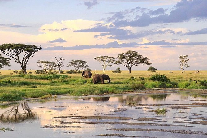 3-day Masai Mara Safari Tour to see the big five and wildebeest migration - The Mara River and migration season