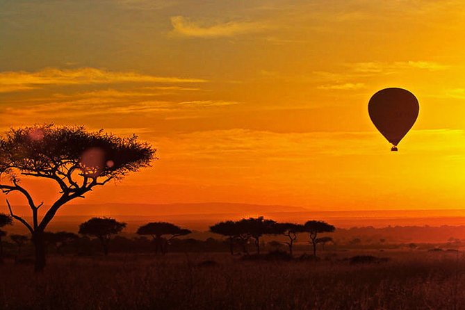 3-day Masai Mara Safari Tour to see the big five and wildebeest migration - The early morning drive on Day 3