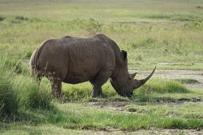 3 Day Private 4x4 Jeep Tour in Masai Mara Safari - Is the $840 price good value?