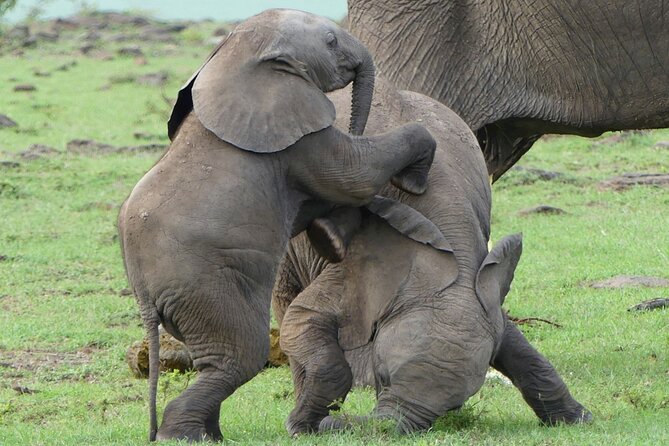 3 Day Private 4x4 Jeep Tour in Masai Mara Safari - Day one: the long road from Nairobi to the Mara