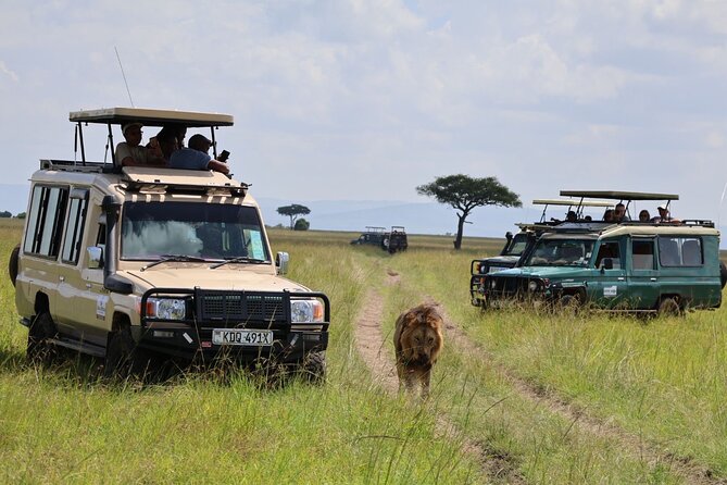 3 Day Private Tour in Maasai Mara with Lodge Luxury with Jeep - Day 3 combines Maasai culture and the road home