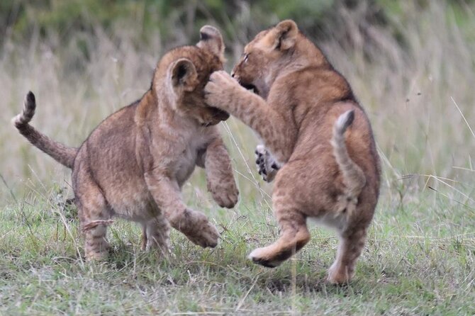 3-Day Private Tour in Tsavo West National Parks - Is $1,790 per person good value?
