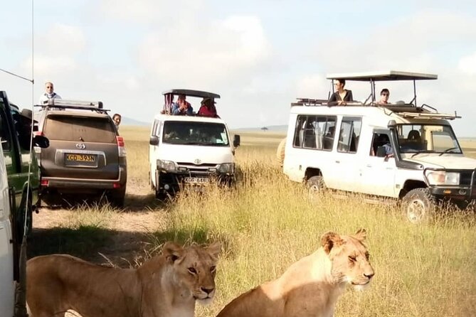3 Day Private Wild Safari Tour in Maasai Mara - Why three days works better than a quick Mara visit