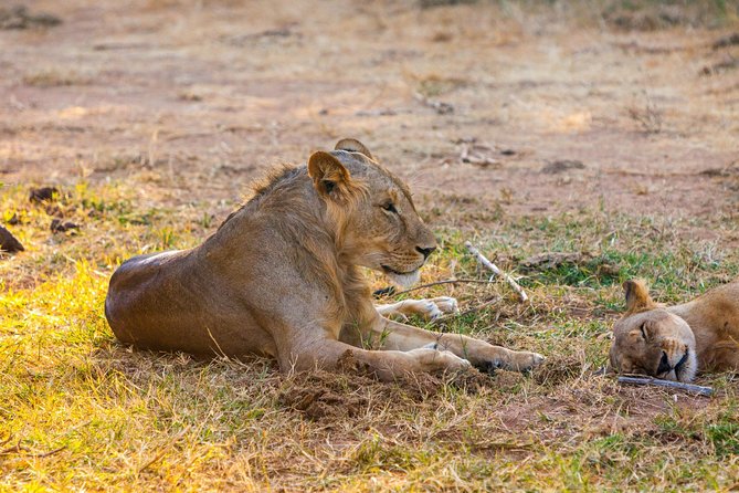 3-Day Samburu safari from Nairobi - Arriving at Samburu National Reserve