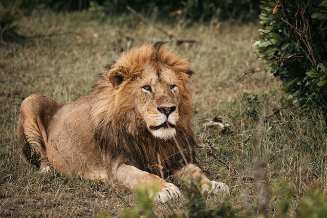 3-Day Tsavo East and Tsavo West Safari - What the private Land Cruiser changes