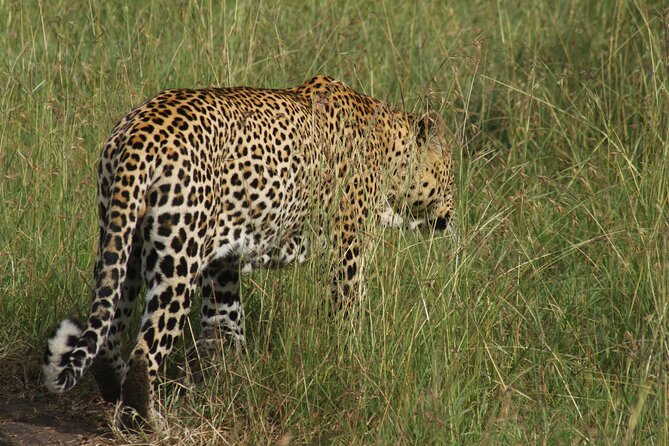 3-Day Tsavo East and Tsavo West Safari - Practical planning for the three days